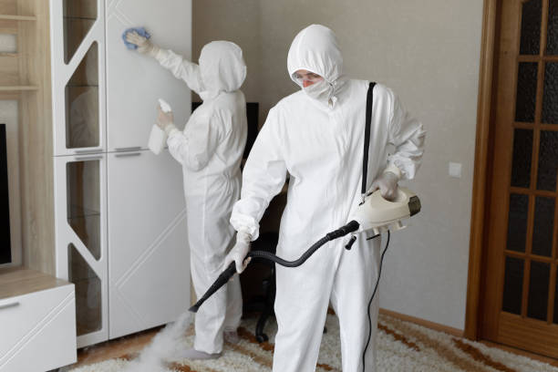 Best Crawl Space Mold Removal  in Wallington, NJ